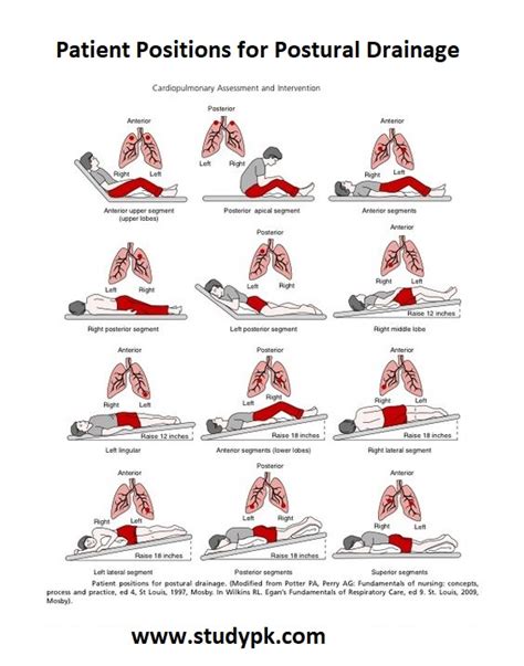 Postural Drainage Positions Pdf