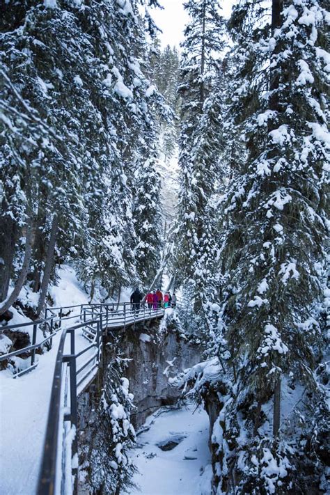 Exploring Johnston Canyon in winter - Young Adventuress