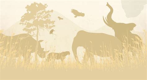 Africa's Most Endangered Species [INFOGRAPHIC]