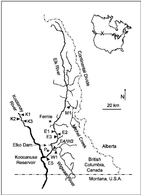 Map Of Elk River - Agatha LaVerne