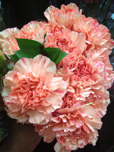 Best Of orange Carnation Flower – Beautiful Flower Arrangements and Flower Gardens