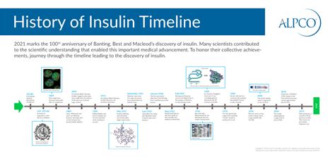 History of Insulin Timeline - DocsLib