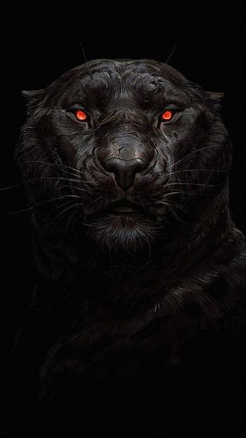 IPhone 6 . animal dark, Black Panther Animal HD phone wallpaper | Pxfuel