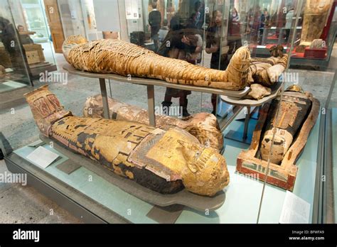 Egyptian mummies in the British Museum, London, England, UK Stock Photo - Alamy