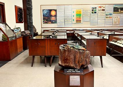 Museum | Birbal Sahni Institute of Palaeosciences