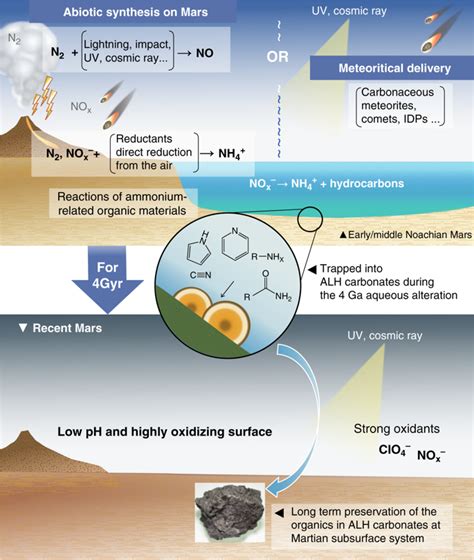 Nitrogen-bearing Organics in the Martian Meteorite ALH 84001 ...