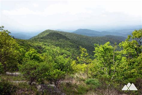 Blood Mountain: Hiking, Backpacking & Camping Guide