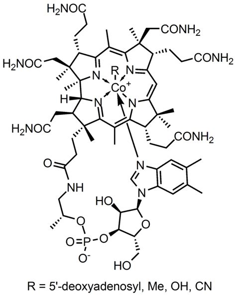 Vitamin B12 – Drug Details