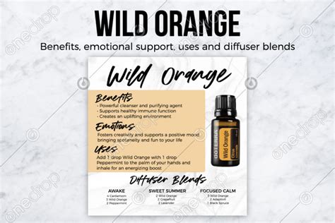 Wild Orange - Benefits, Uses, Diffuser Blends by Emily Peters