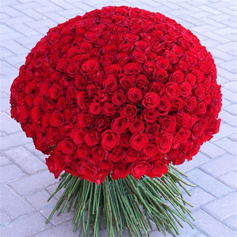 300 Long Stem Rose Bouquet – BetterFlowers.ae