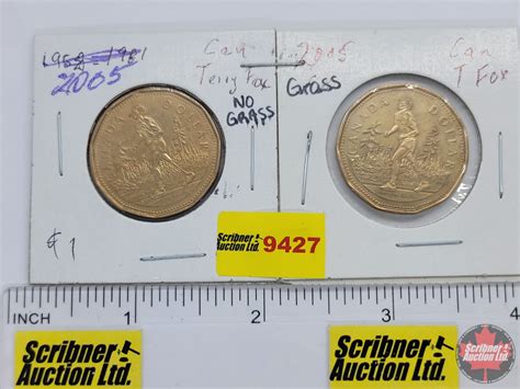 Canada $1 Loonie 2005 Terry Fox (2) Grass - No Grass (SEE PICS!)