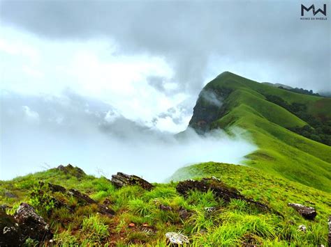 Netravati Peak Trek | Monks on Wheels