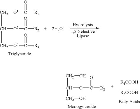 Fatty Acids: Diglycerides Of Fatty Acids