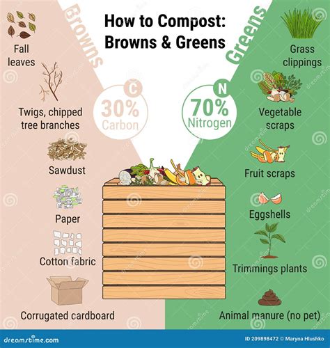 Infographic Of Garden Composting Bin With Scraps. What To Compost ...