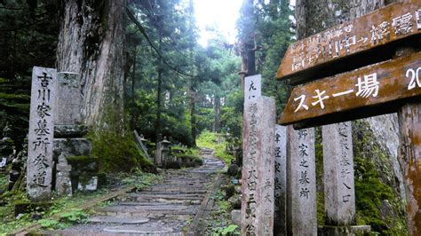 One of many hiking trails found near Mount Koya (Koyasan), Wakayama ...