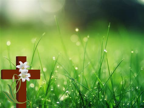 Download Cross, Jesus, Flowers. Royalty-Free Stock Illustration Image - Pixabay