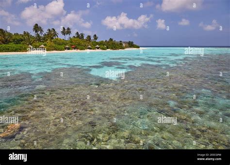 A tropical island fringing reef, just offshore from Havodda island ...