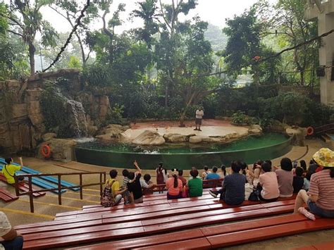 Singapore Zoo: UPDATED 2020 All You Need to Know Before You Go (with PHOTOS)