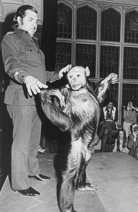 Human-chimp hybrid: ‘Humanzee’ reportedly born in lab 100 years ago ...