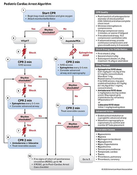 Part 4: Pediatric Basic and Advanced Life Support | American Heart ...