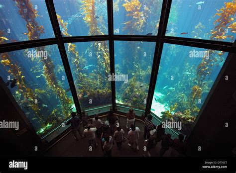 People at Aquarium Stock Photo - Alamy