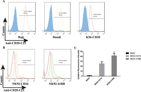 CD16 expression and activity detection. A The antibody-fluorescein... | Download Scientific Diagram