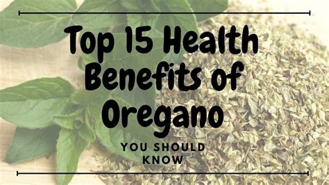 Top 15 Health Benefits of Oregano YOU SHOULD KNOW - YouTube