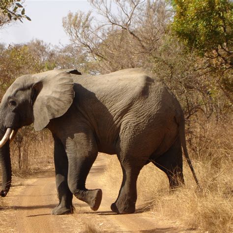 Benin travel - Lonely Planet | Africa