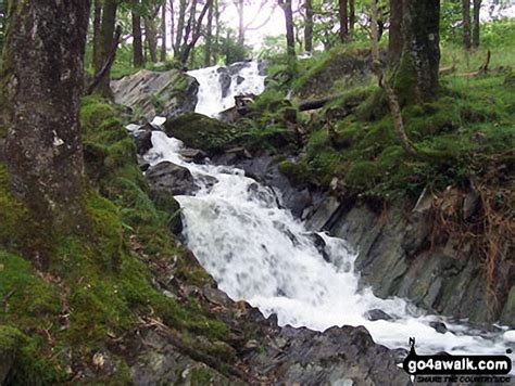 Downstream from the Tom Gill Waterfalls near Tarn Hows in The Lake District, Cumbria, England by ...