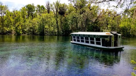 Silver Springs State Park: Wild Monkeys and Glass Bottom Boat Tours – Dang Travelers