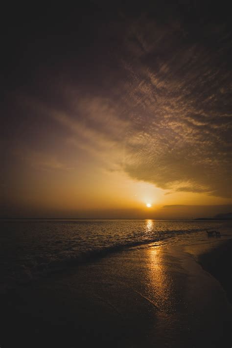 Free photo: Ocean Horizon during Sunset in Landscape Photography ...