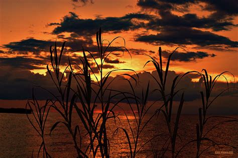 Sunset Lake Okeechobee Photograph by Ken Figurski