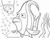 Finding Nemo Bruce Coloring Pages At GetColoringscom  Free Printable sketch template