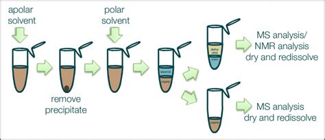 Sample preparation | Metabolomics