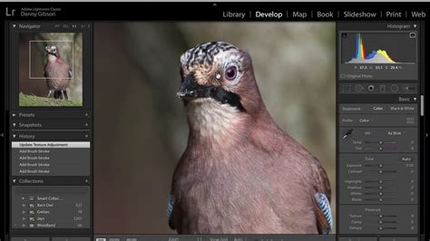 Using Topaz DeNoise AI with Adobe Lightroom - YouTube