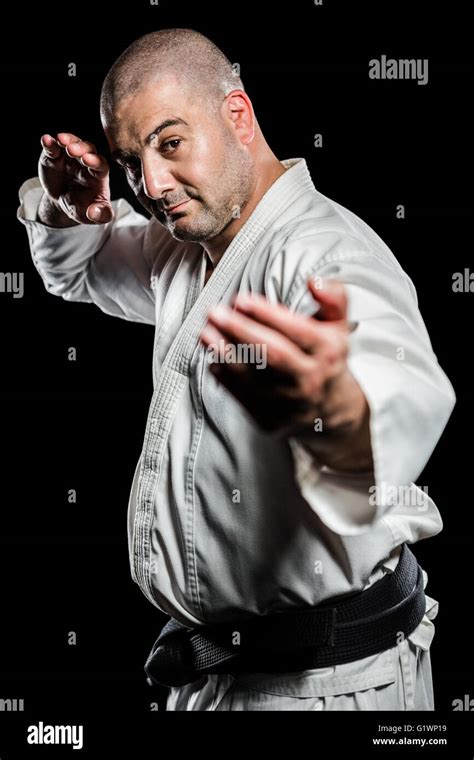 Fighter performing karate stance Stock Photo - Alamy