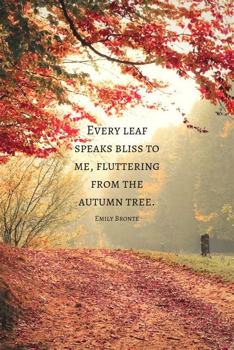 Quotes a Beautiful 15 in 2020 | Autumn quotes, Autumn trees, Nature quotes trees