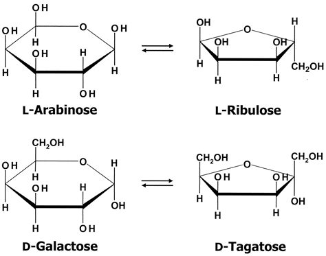 Alpha D Arabinose