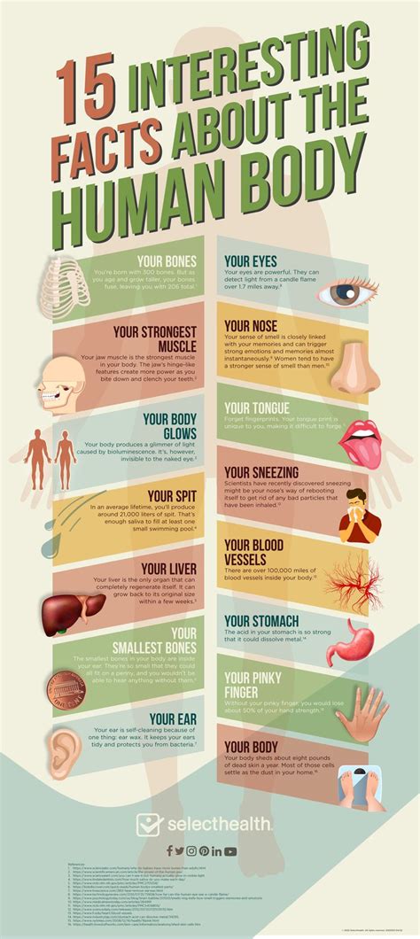 These 15 interesting facts may help you appreciate your body even more. #infographic #funfacts # ...