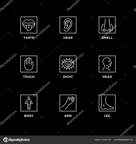 Vector Set Design Elements Logo Design Template Icons Badges Senses Stock Vector Image by ©V3rc4 ...