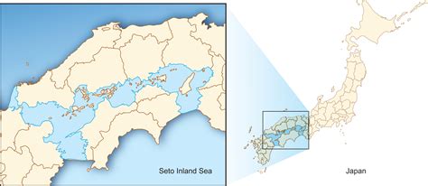 Long-term evolution of preferences for conservation projects in the Seto Inland Sea, Japan: a ...