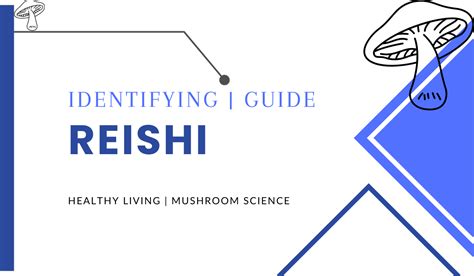 How To Identify Reishi Mushrooms (Complete Identification Guide) – Vital Mushroom