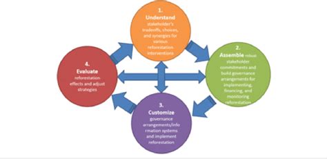 A pathway for reforestation. | Download Scientific Diagram