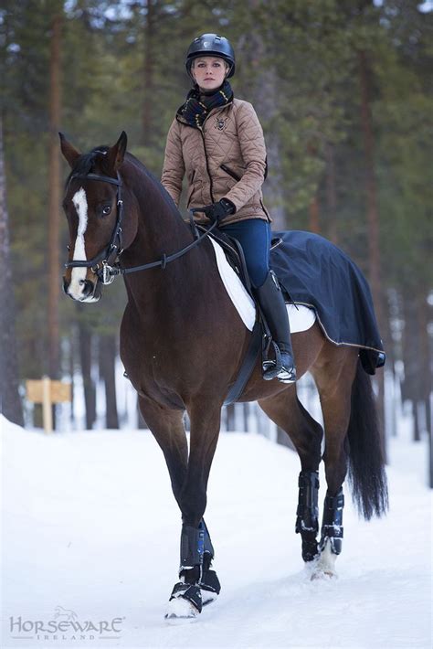 Gorgeous bay Horse. Winter Riding gear by Horse Ware | Horses, Winter riding, Equestrian outfits