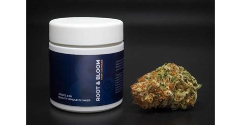 Root & Bloom Brings its Own Craft Cannabis Flower to Massachusetts Dispensaries