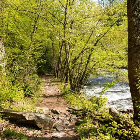 Asheville Hiking Trails | Guides & Recommendations | Asheville, NC's Official Travel Site