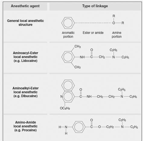 list of amide and ester local anesthetics