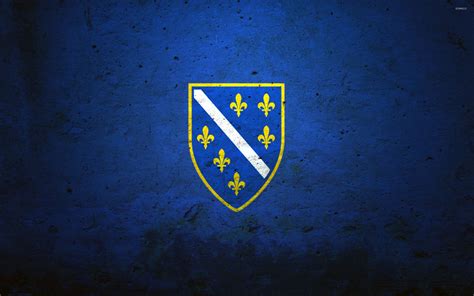 Flag of the Bosnian Kingdom wallpaper - Digital Art wallpapers | Herzegovina flag, Bosnia flag ...