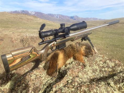 .22 Creedmoor Loads Using Peterson Cartridge Small Rifle Primer Brass | Load Data Article