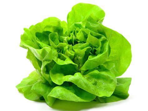 18 Best Lettuce Leaves Benefits For Skin, Hair & Health